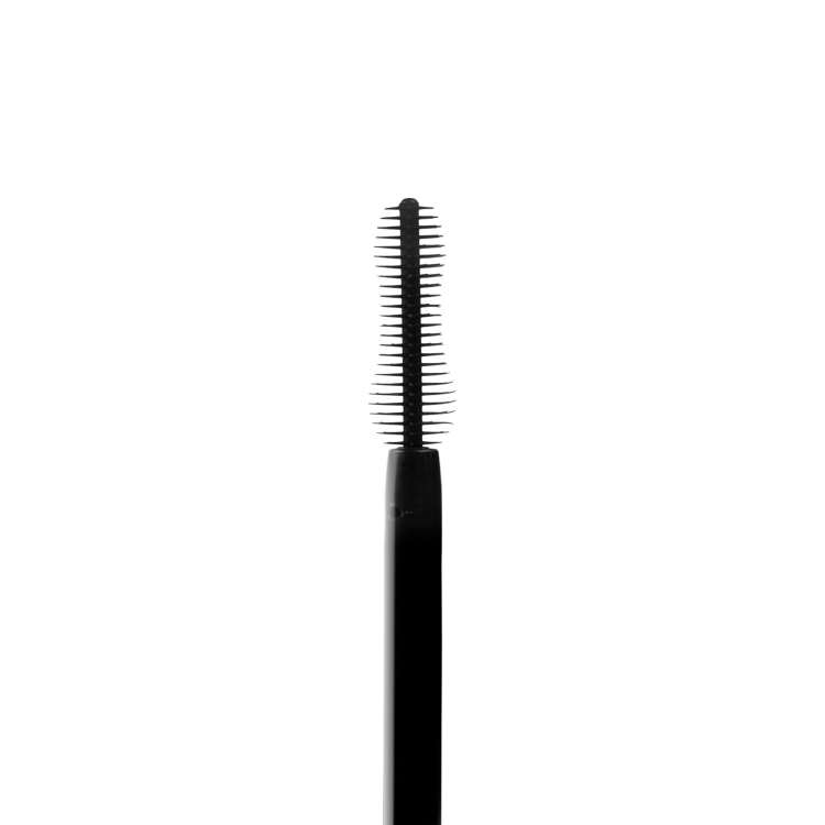 Lash Extravaganza