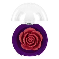 Ritual Rose creamy blusher