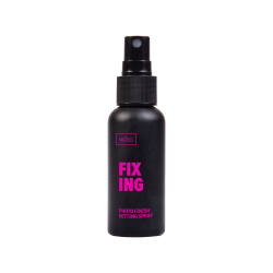 Fixing Spray